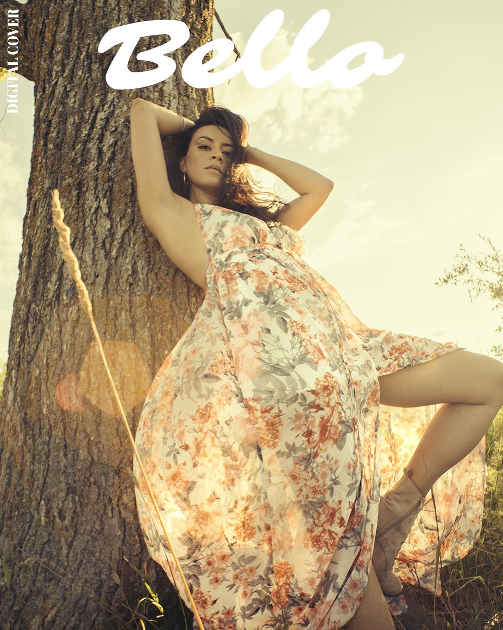 Haze of Heaven cover