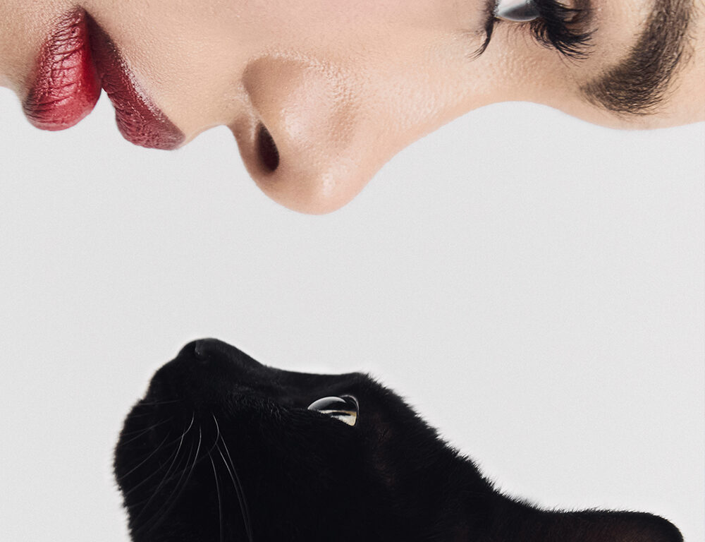 9 Lives