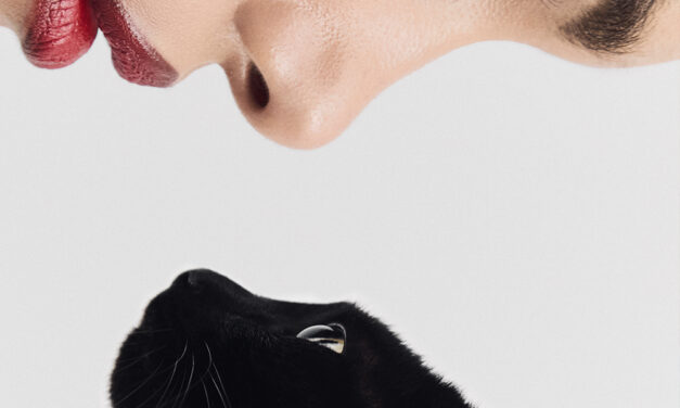 9 Lives
