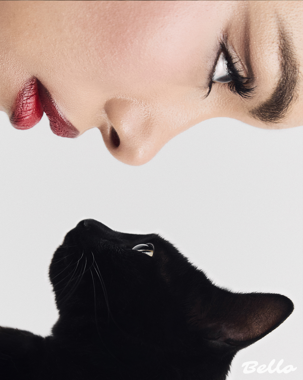 9 Lives