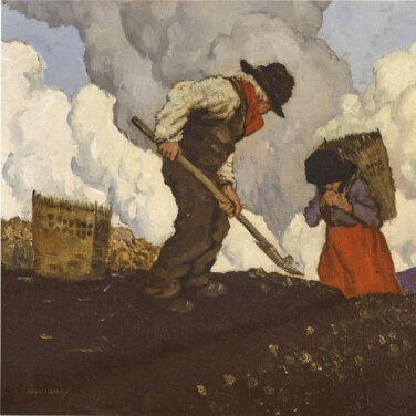 A Mayo Potato Field Just Made Paul Henry Nearly €1.05m